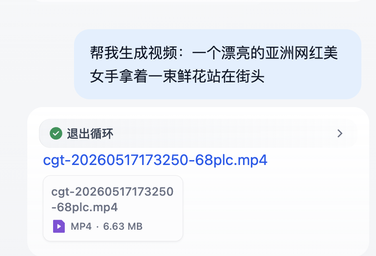 视频生成助手效果演示